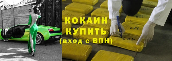 мдпв Няндома