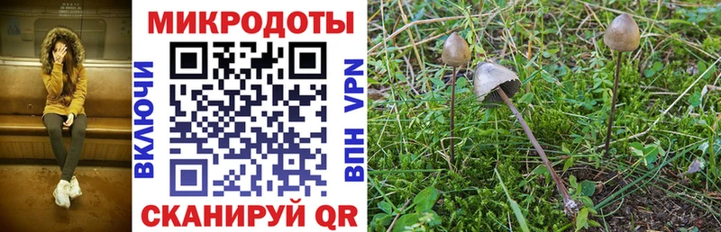 Псилоцибиновые грибы ЛСД  где продают   Сенгилей 