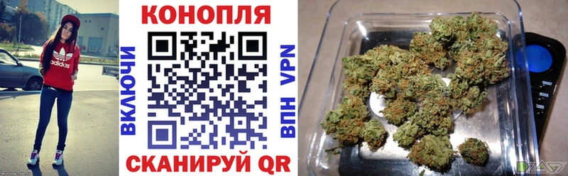 наркота  Сенгилей  Шишки марихуана ГИДРОПОН 